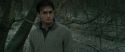 RdM1-Potterish10692.jpg