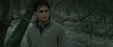RdM1-Potterish10693.jpg