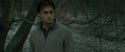 RdM1-Potterish10694.jpg