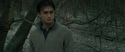 RdM1-Potterish10695.jpg