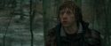 RdM1-Potterish10696.jpg
