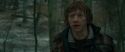 RdM1-Potterish10698.jpg