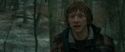 RdM1-Potterish10699.jpg
