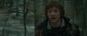 RdM1-Potterish10700.jpg