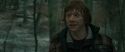 RdM1-Potterish10702.jpg