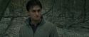 RdM1-Potterish10705.jpg