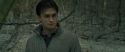 RdM1-Potterish10707.jpg
