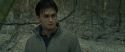 RdM1-Potterish10708.jpg