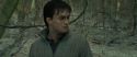 RdM1-Potterish10712.jpg