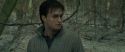 RdM1-Potterish10713.jpg