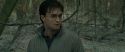 RdM1-Potterish10714.jpg