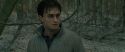 RdM1-Potterish10717.jpg