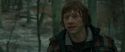 RdM1-Potterish10719.jpg