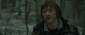 RdM1-Potterish10720.jpg