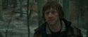 RdM1-Potterish10721.jpg
