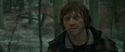 RdM1-Potterish10722.jpg