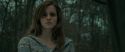 RdM1-Potterish10724.jpg