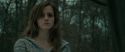 RdM1-Potterish10725.jpg