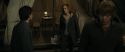 RdM1-Potterish10863.jpg