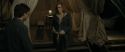 RdM1-Potterish10873.jpg