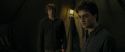 RdM1-Potterish10915.jpg
