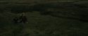 RdM1-Potterish10991.jpg