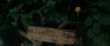 RdM1-Potterish11014.jpg