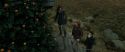 RdM1-Potterish11027.jpg