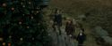 RdM1-Potterish11028.jpg