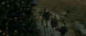 RdM1-Potterish11029.jpg