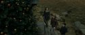 RdM1-Potterish11030.jpg
