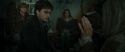 RdM1-Potterish11152.jpg