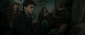 RdM1-Potterish11160.jpg