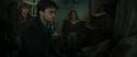 RdM1-Potterish11168.jpg