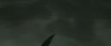 RdM1-Potterish11259.jpg