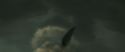 RdM1-Potterish11262.jpg
