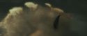 RdM1-Potterish11264.jpg