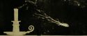 RdM1-Potterish11470.jpg