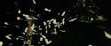 RdM1-Potterish11507.jpg