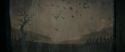 RdM1-Potterish11569.jpg