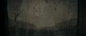 RdM1-Potterish11570.jpg