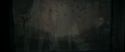 RdM1-Potterish11572.jpg