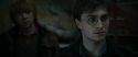 RdM1-Potterish11614.jpg