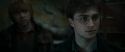 RdM1-Potterish11615.jpg