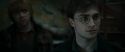 RdM1-Potterish11616.jpg
