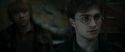 RdM1-Potterish11617.jpg