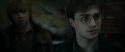 RdM1-Potterish11618.jpg