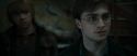 RdM1-Potterish11619.jpg