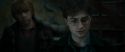 RdM1-Potterish11657.jpg
