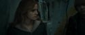 RdM1-Potterish11669.jpg